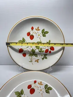 STONEWARE DINNER