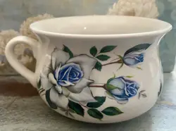 POT BLUE ROSES
