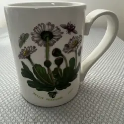 VINTAGE PORTMEIRION BOTANIC GARDEN 12 OZ COFFEE CUP MUG DAISY S. ELLIS 