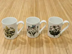 VINTAGE PORTMEIRION BOTANIC GARDEN SET OF THREE MUGS EUC