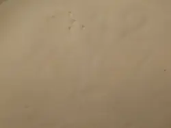 342