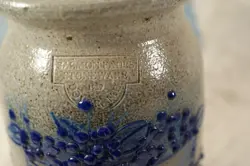 BLUE SALMON