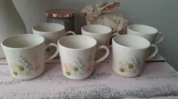 CUPS CORNERSTONE GLENORA