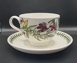 CUP VIOLA