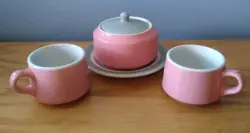 DISH PINK