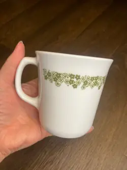 CORNING CORELLE SPRING