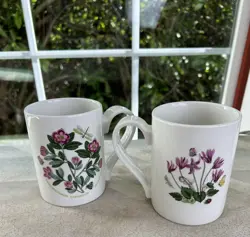 VINTAGE PORTMEIRION BOTANIC GARDEN 10OZ MUG SET OF 2 MADE IN ENGLAND 1970S