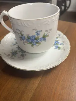 FORGET-ME-NOT