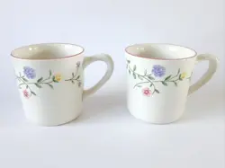 CHINTZ COFFEE MUGS