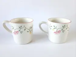 SUMMER CHINTZ