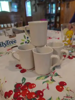 SYRACUSE CHINA USA