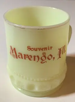 VINTAGE SOUVENIR CUSTARD