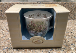 NIB ROYAL DOULTON BRAMBLY HEDGE COLLECTION SUMMER BEAKER MUG CUP 1983 VINTAGE