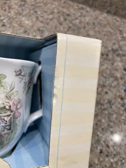 COLLECTION SUMMER BEAKER