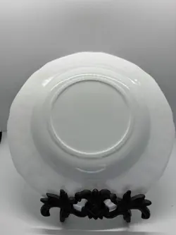GLASS COLONY