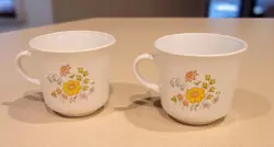 VINTAGE SET OF 2 CORELLE BY CORNING SPRING MEADOW COFFEE TEA CUPS MUGS
