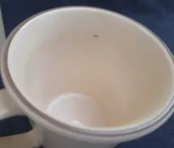 VINTAGE MUGS