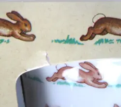 MUG 1981