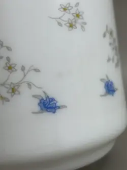 ARCOPAL FRANCE MILK