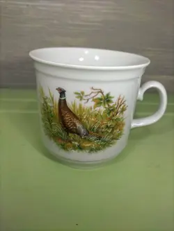 GERMANY WILD PHEASANT