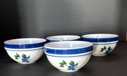 SET OF BLUEBERRY