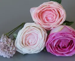 PINK ROSES