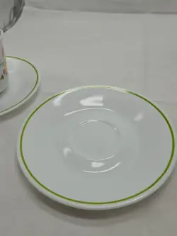 WARE CORELLE SPRING
