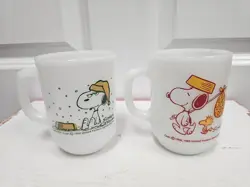 GLASS MUGS COLLECTABLE