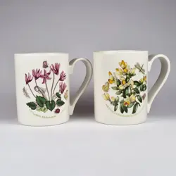 CYCLAMEN AND