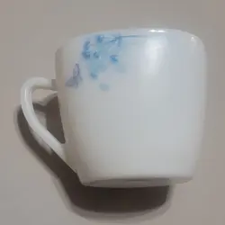 OPAL