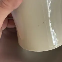 RESTAURANT DINER MUGS