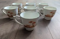 CUPS RARE SET