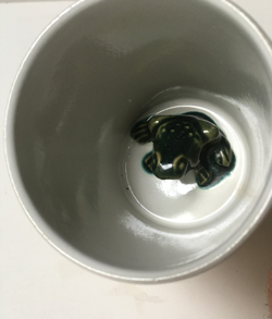 GREEN FROG IN