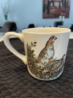 BIRDS QUAIL