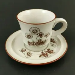 SAUCER 70'S