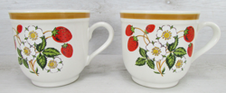 STRAWBERRIES BLOOMS