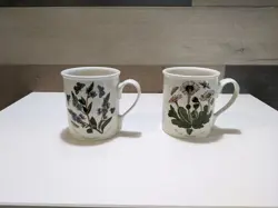 VTG PORTMEIRION BOTANIC GARDEN 25TH ANNIVERSARY BREAKFAST MUG SET - CIRCA 1818