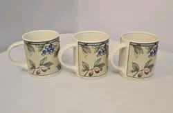 VTG MIKASA INTAGLIO GARDEN HARVEST SET OF 6 MUGS OVEN/DISHWASHER/MICROWAVE SAFE