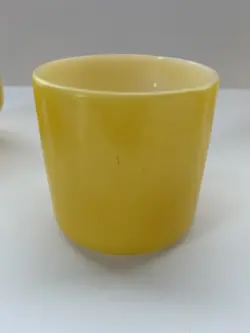 FEDERAL GLASS MUG