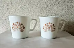 CUPS BROWN FLOWERS