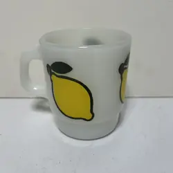 HOCKING LEMON FRUIT