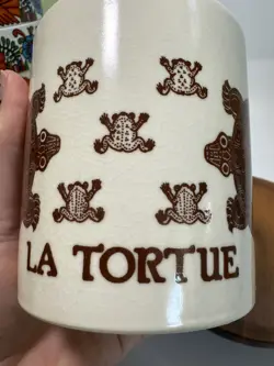 TORTUE BROWN