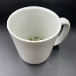 FROG COFFEE MUG