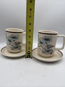 WITH SAUCERS