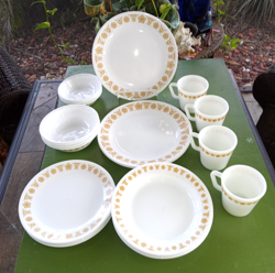 GOLD DISHES SERVICE