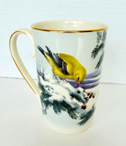 GOLDEN FINCH BIRDS