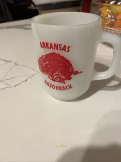 HOCKING ARKANSAS RAZORBACKS