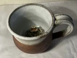 FROG INSERT