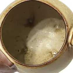 CUP PLANTER