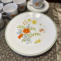 DINNER PLATES